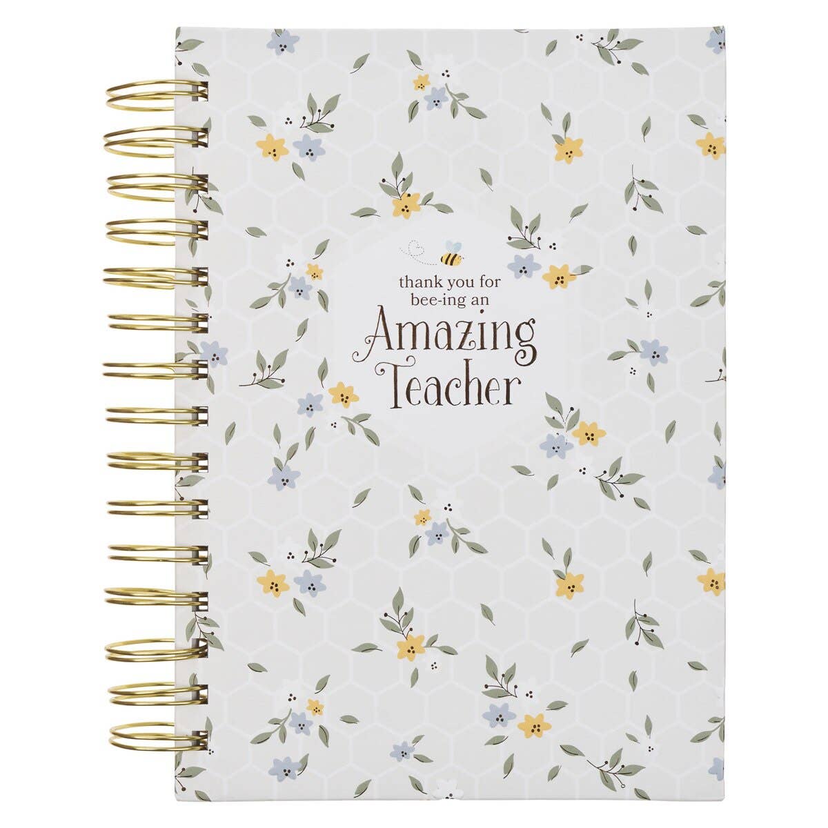 Amazing Teacher - Journal