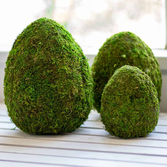 Moss Egg Decor