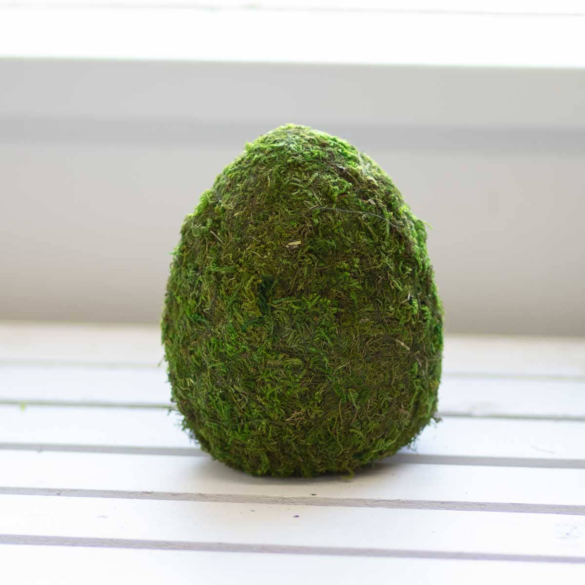 Moss Egg Decor